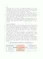 각종 지표로 알아본 금융위기와 대책 7페이지