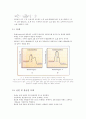 화학반응속도론 레포트 11페이지