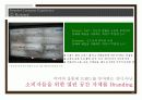 성공적인 브랜드마케팅 사례분석 23페이지