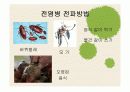 [보건교육] 전염병 6페이지
