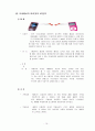 아이팟 (i-pod) apple사 마케팅 15페이지