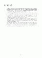 아이팟 (i-pod) apple사 마케팅 19페이지