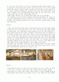 이케아(Ikea) 마케팅 , 성공전략 18페이지