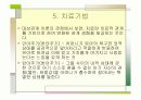가족치료이론 9페이지