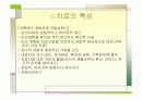 가족치료이론 12페이지