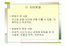 가족치료이론 36페이지