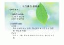 이혼과재혼 10페이지