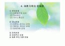이혼과재혼 22페이지