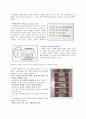 시간개념의 발달/유아교육-시간개념발달과정 7페이지
