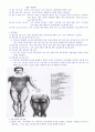 Spinal Cord Injury(척수손상) 4페이지