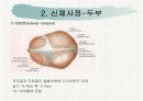 신생아 신체사정 20페이지