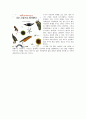 아동복지와 관련된 복지추천도서목록(5권이상)을 작성하기 4페이지