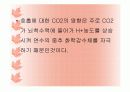 호흡곤란 조절 및 기전 10페이지