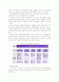 이명박정부의 국정운영전략의 과제와 전망 8페이지
