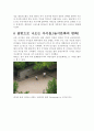 문화사적 관점에서 본 WBC 해석!  7페이지
