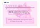 삼성 에버랜드의 지식경영도입 (파워포인트) 11페이지