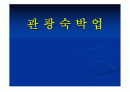 관광숙박업의 이해와 문제점 및 관련법규의 시사점 1페이지