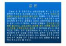 중국과 한국의 무역관계 13페이지