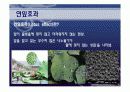 [공업화학실험 및 설계] 연잎효과와 탄소나노튜브를 이용한 코팅 5페이지