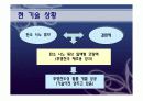 [공업화학실험 및 설계] 연잎효과와 탄소나노튜브를 이용한 코팅 17페이지