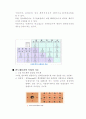[고체물리학] 반도체(특성, 기능, 발전과정, 제조과정, 물질 등)에 대하여 4페이지