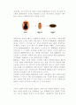 [고체물리학] 반도체(특성, 기능, 발전과정, 제조과정, 물질 등)에 대하여 7페이지