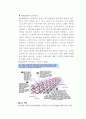 [고체물리학] 반도체(특성, 기능, 발전과정, 제조과정, 물질 등)에 대하여 15페이지