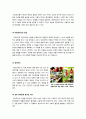 [대안학교][대안교육]대안학교와 대안교육의 개념 이해, 대안학교(대안교육)의 해외사례 및 유형별 특징 비교, 대안학교 현황과 문제점 및 개선과제 8페이지