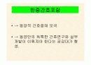 간호사의해외진출 14페이지