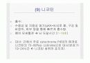 [담배] 흡연,금연, 니코틴 중독 관련 교육,발표 ppt 파워포인트 자료  48페이지
