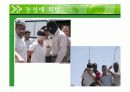 젠더 와 성 동성애 5페이지
