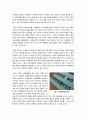 [다문화 교육복지]다문화가정 학생들을 위한 교육복지정책의 문제점과 발전방향, 다문화가정 학생 지원정책 추진 현황과 시사점, 다문화시대의 교육복지란? 11페이지