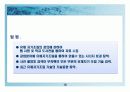 유체자기조립 20페이지