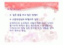 [자기소개] 나의 꿈 ㅡ 대한항공 승무원  22페이지