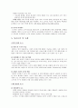 노키아와 글로벌전략 5페이지