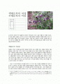 노처녀가의 감상과 분석 1페이지