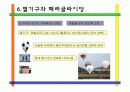 운송분야(자동차 비행기 등) 와 스포츠레저용구(낚시대,테니스라켓)등 분야 섬유 신소재  42페이지