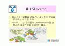 DNA Polymerase (DNA 중합효소) 7페이지