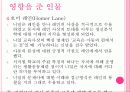 영.유아발달 닐의 유아교육 사상 5페이지