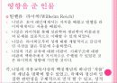 영.유아발달 닐의 유아교육 사상 6페이지