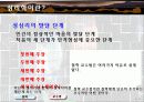 철학 교육 및 구성적 철학 교수법 8페이지