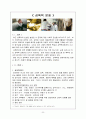 (성폭력)원인과 대처방안 2페이지