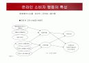 온라인 소비자행동론 특성과 사례 5페이지
