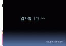 2009년 정부예산 12페이지