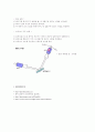 브루스터 각도 3페이지