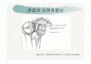 견관절과 견갑대 8페이지