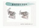 견관절과 견갑대 13페이지