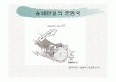 견관절과 견갑대 14페이지