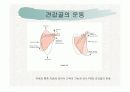 견관절과 견갑대 17페이지