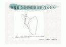견관절과 견갑대 44페이지